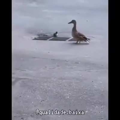 ... ehhh