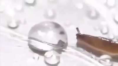 What a nice slug&hellip;