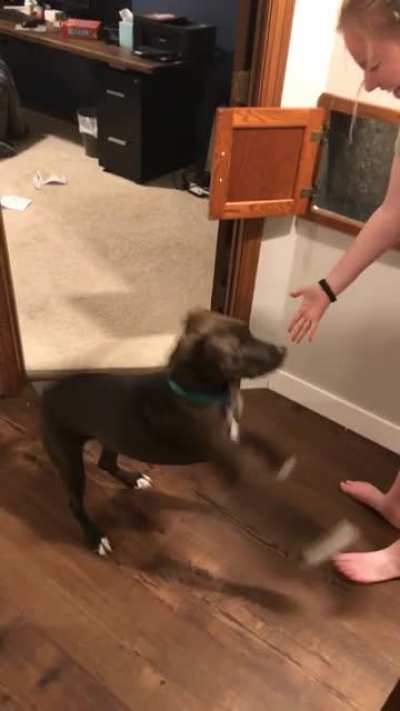 Dog didn&rsquo;t know her mom is a magician.