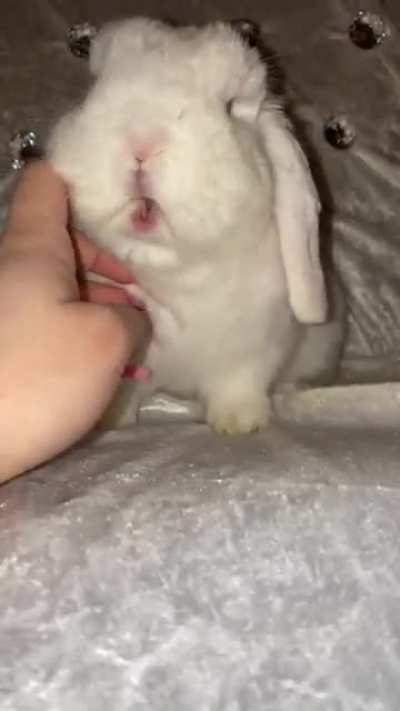 Munchy munch