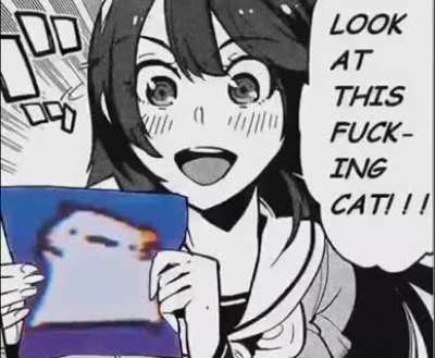 me🐱irl