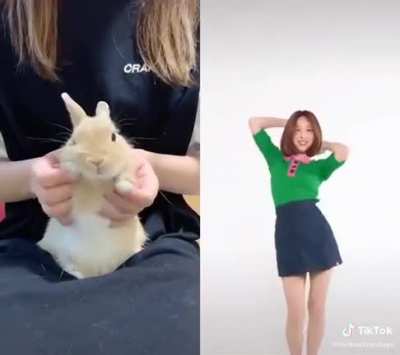 I bet you can&rsquo;t spot the difference