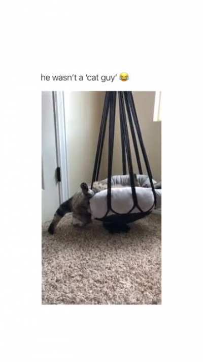 He clearly doesn’t like the cat lol
