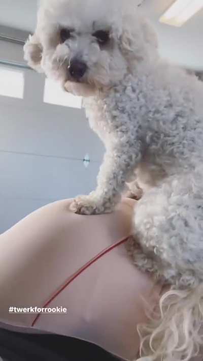 Madelaine Petsch, her glorious ass and one lucky...