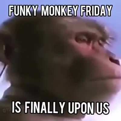 HELL YA!