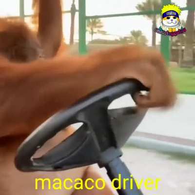 fachero