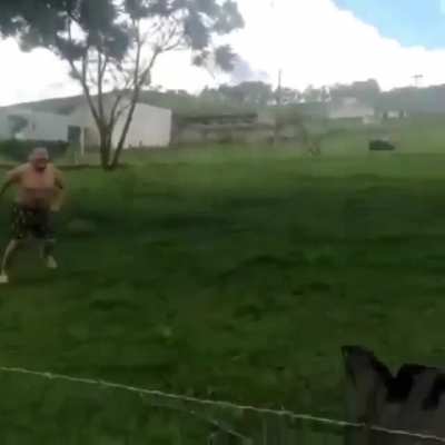 Sheep vs Human