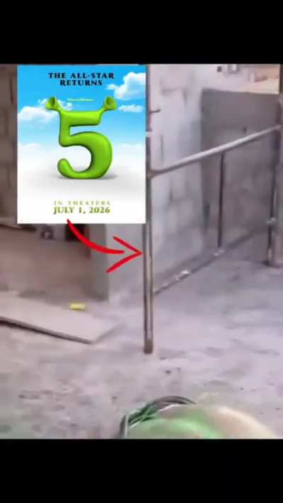 Shereka 5 an&atilde;o