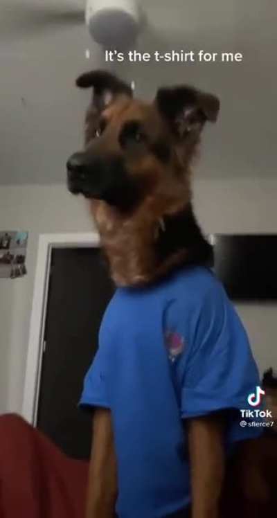 I thought it was a very convincing furry