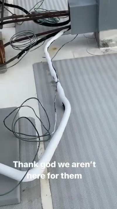 Lol