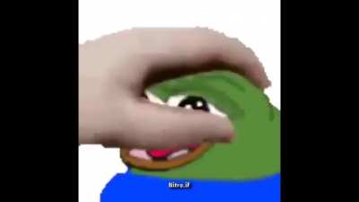 Pepe getting petted