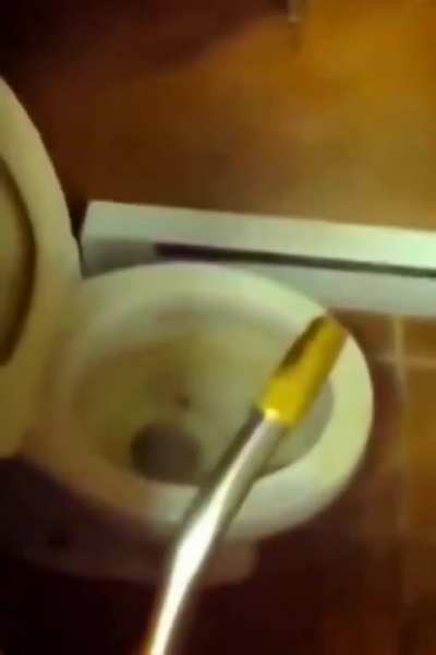 A small yet classic experiment