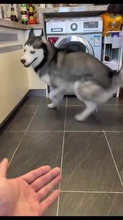 There's was an attempt to give Paw