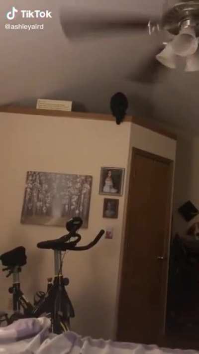 &ldquo;Oh&rdquo;