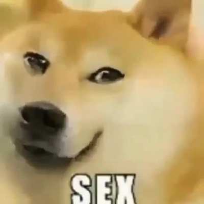 sex (2)