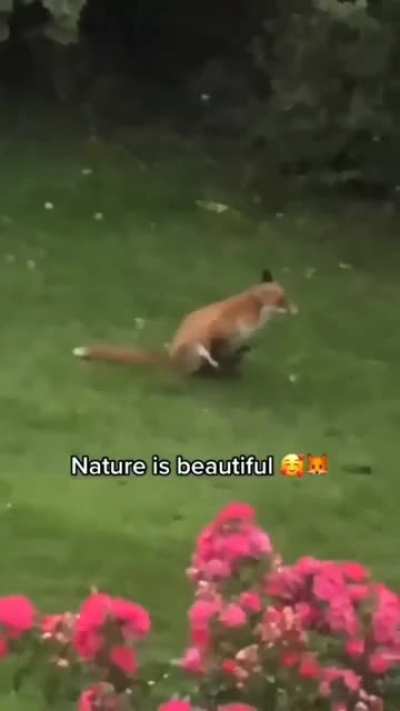 Nature is so beautiful ❤