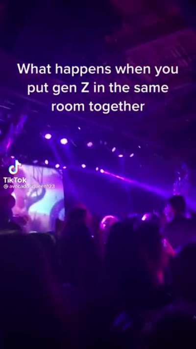 Zoomer Party