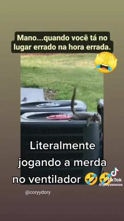 Tadinho