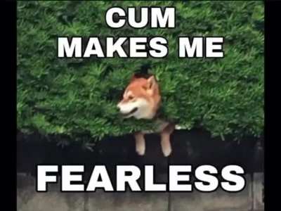 Cummy bottom boy