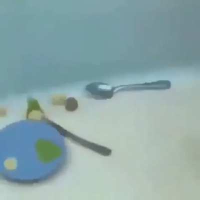 i dont know what this is but i found it on discord
