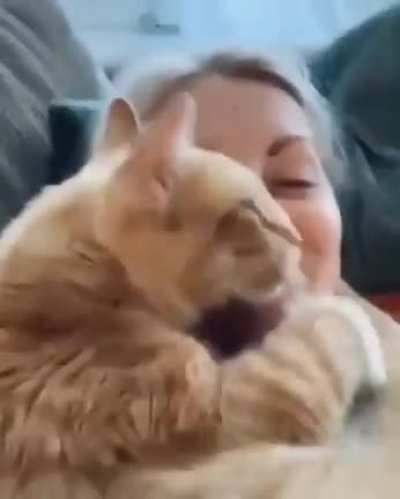 Cute hugs