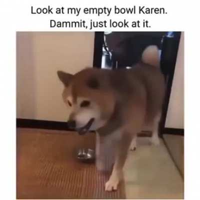 Feed me