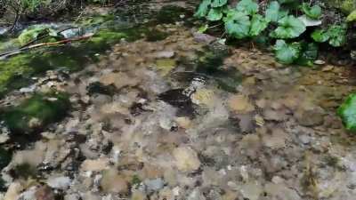 I found starting point for a river!