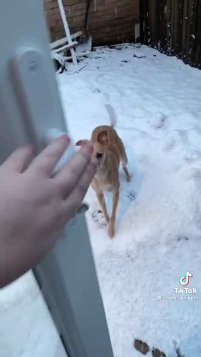 snow