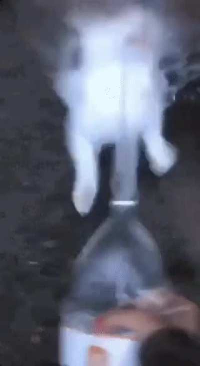 Poor cat 😂
