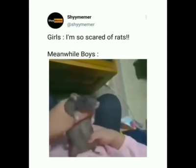Boys -