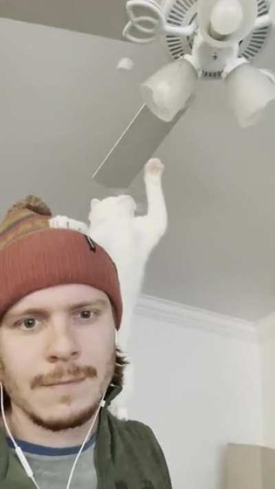 She&rsquo;ll yell at me until I put her on my shoulders and let her smack these things