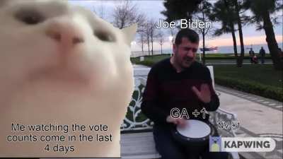 The Last 96 Hours