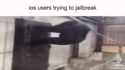 computers bad return to monke