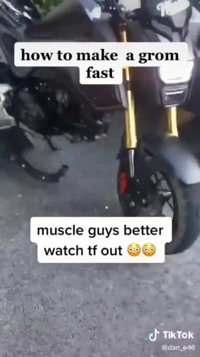 Can any Grom owners confirm? 😂