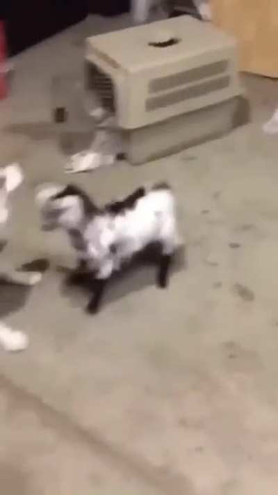 He regretted it immediately