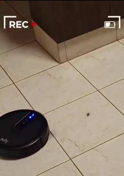 To Escape The Roomba