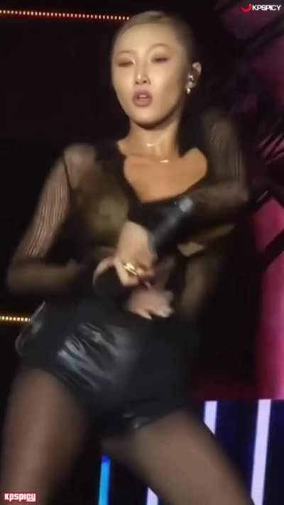 hwasa nip (kpop)