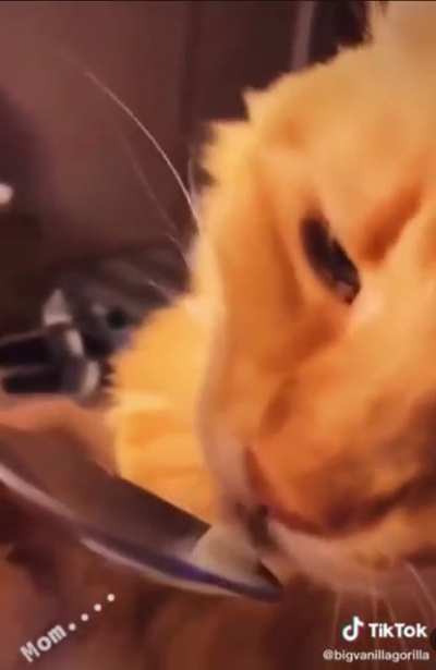 Found this on r/animals being deeps and couldn&rsquo;t help myself.