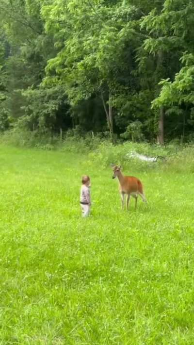 What kind of person would allow their baby to pet a wild animal!?