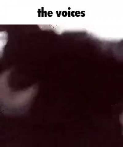 The voices&hellip; they speak to me&hellip;