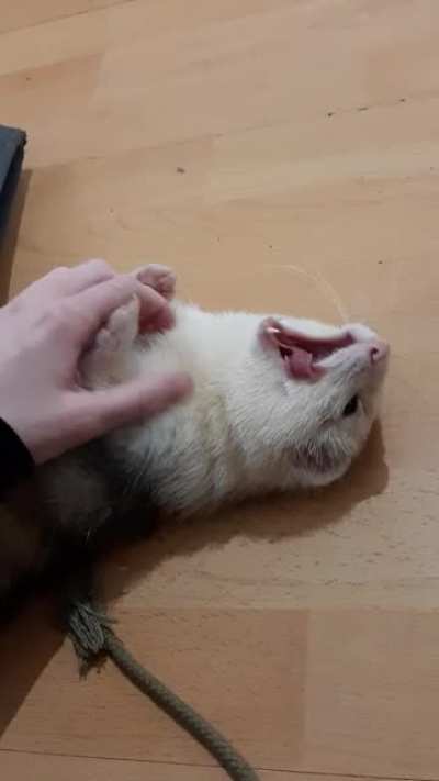 Chunky noodle