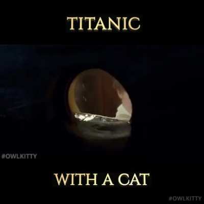 That&rsquo;s one hell of an edit!, lol (source - owlkitty)