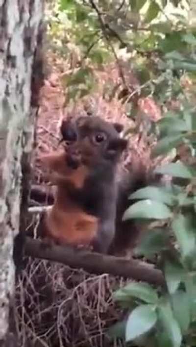 Hello?