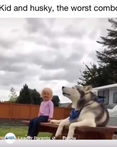 Kid and husky, the best combo