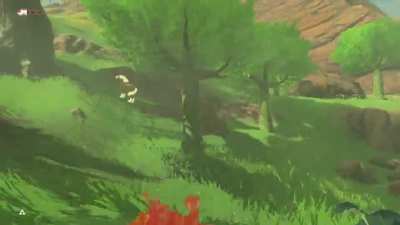I found this gem when cleaning out my screenshots, no wonder I&rsquo;ve always hated the ostriches