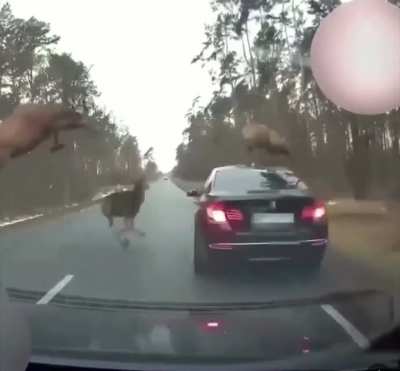 Hopefully insurance covers