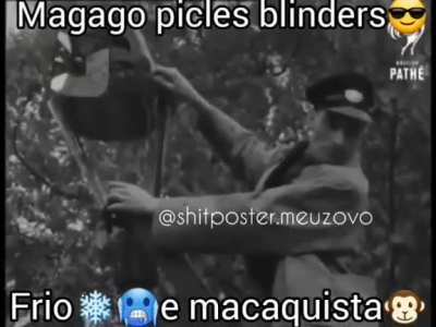 Woods pika bliders
