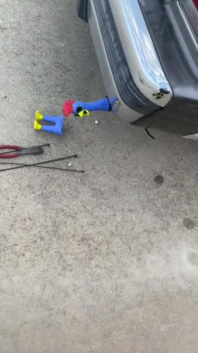 I did a thing