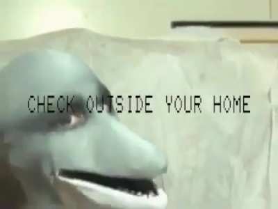 Dolphin Man :3