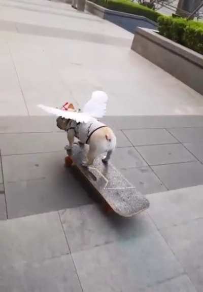 He's good at skateboarding.